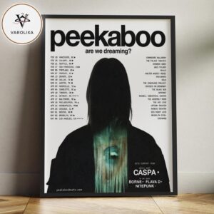 Peekaboo Are We Dreaming Tour 2026 Electronic Music Minimalist Horror Home Decor Poster Canvas