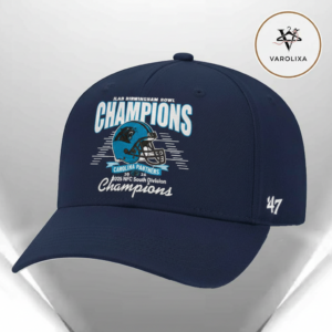 Carolina Panthers Nike 2025 NFC South Division Champions Locker Room Trophy Collection Classic Cap Hat Snapback