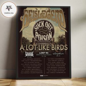 A Lot Like Birds Concert Poster At Multiple Venues In United States On April 2026 Suck Out The Poison Tour Home Decor Poster Canvas